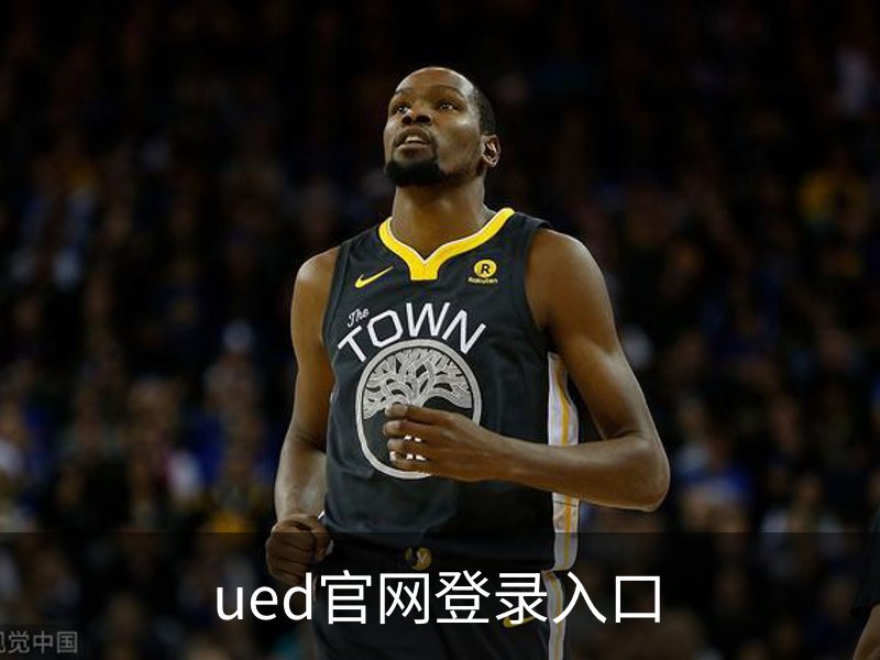 ued官网登录入口简介